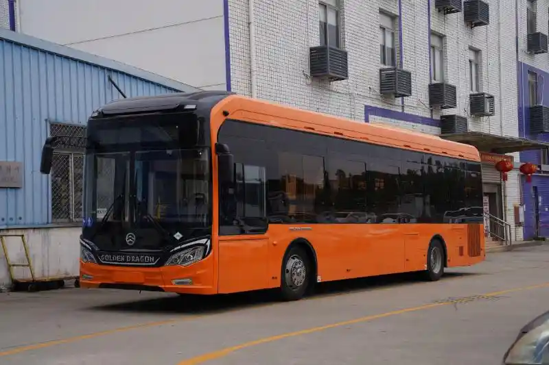 XML6125.D