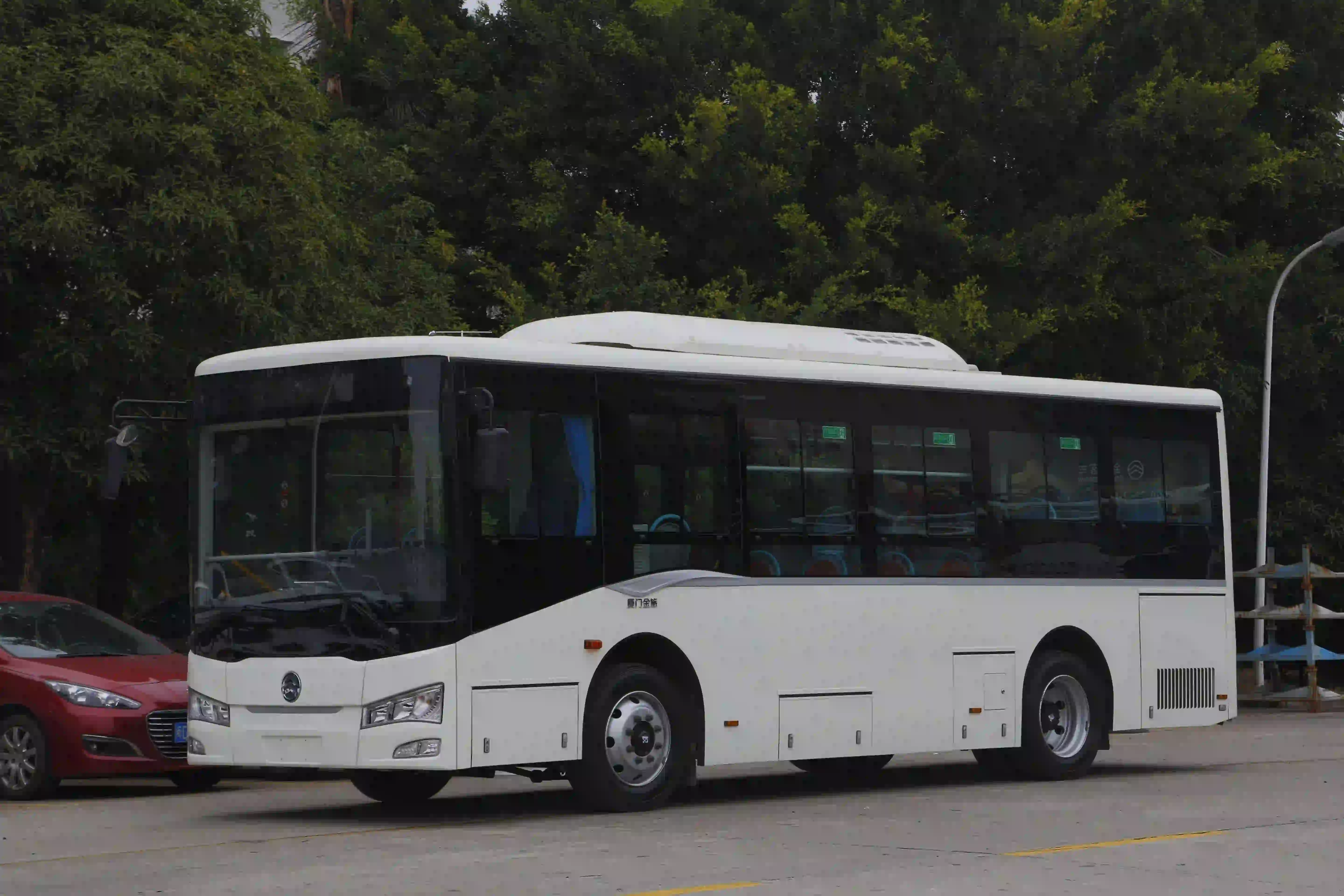 XML6845.D